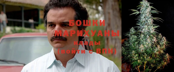 apvp Арсеньев