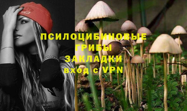 apvp Пестово
