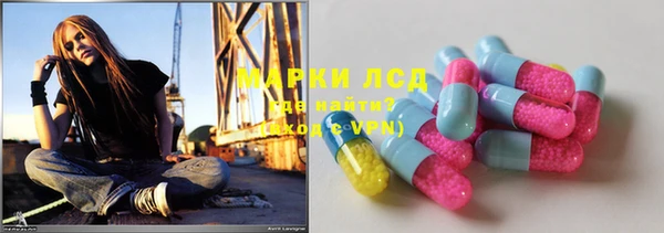 PSILOCYBIN Аркадак