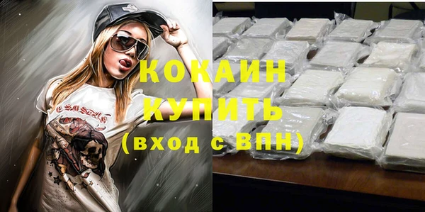 PSILOCYBIN Аркадак