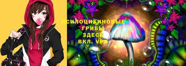 PSILOCYBIN Аркадак