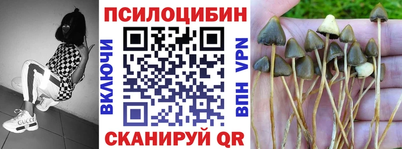 Псилоцибиновые грибы MAGIC MUSHROOMS  Багратионовск 